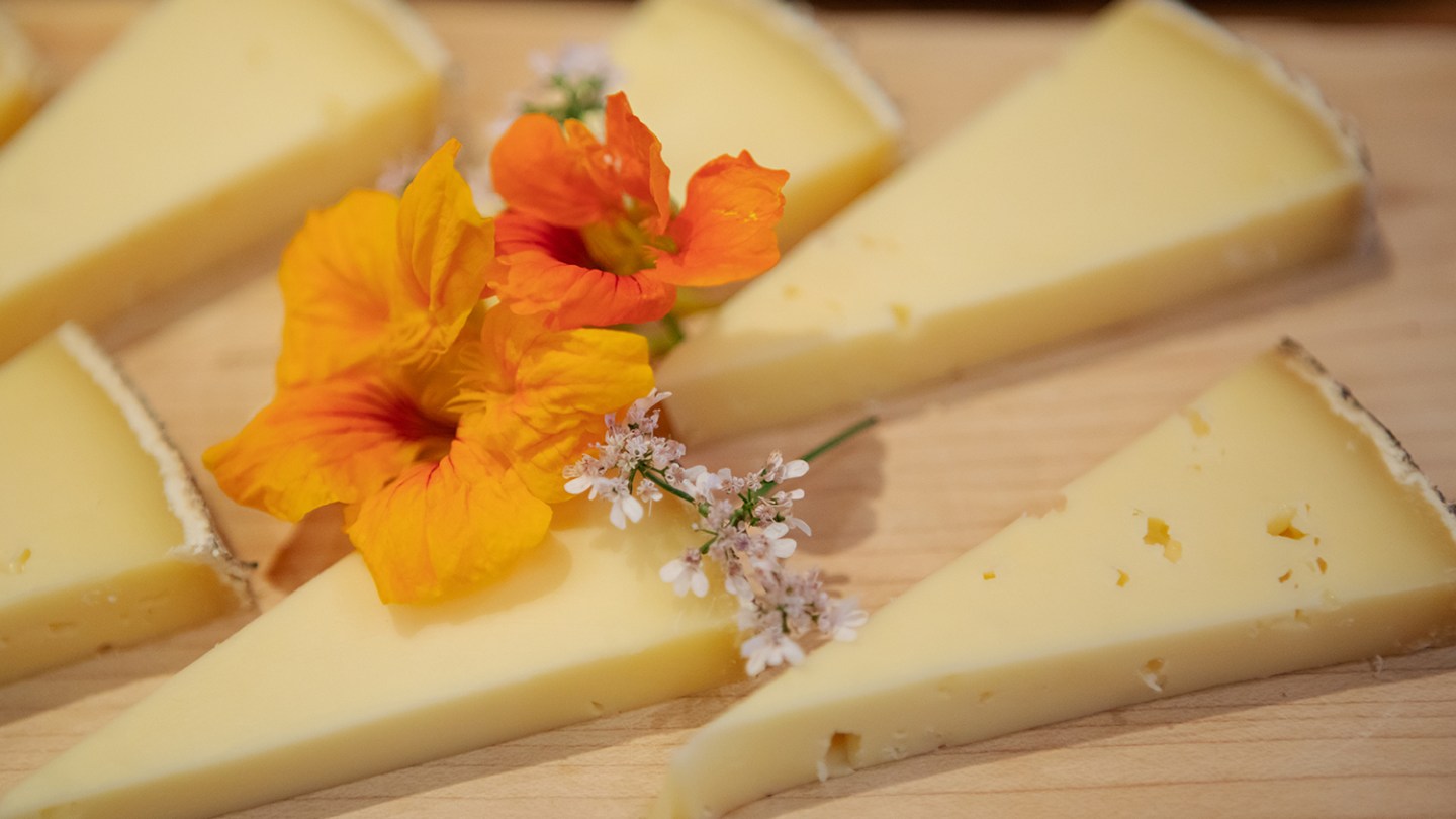 cheese tasting on the Alberta Food Finder