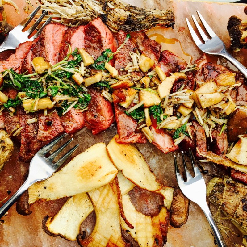 bison meat - close up