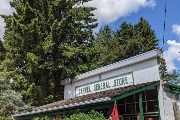 a tree in front of a building