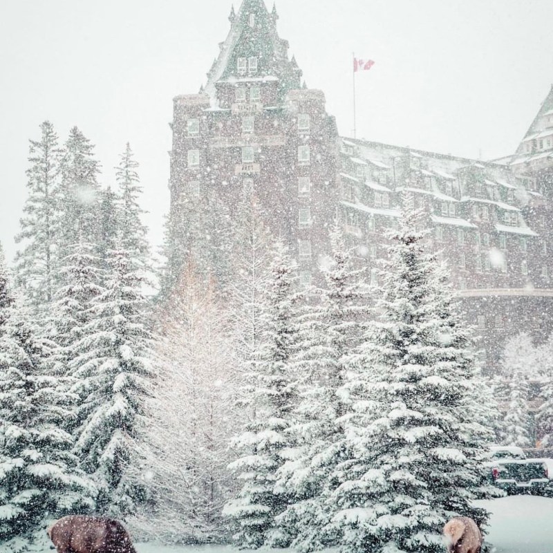 a group of people walking in the snow