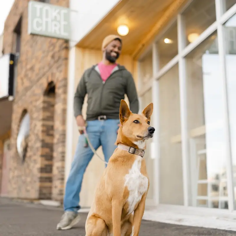 a dog sitting in front of a building
