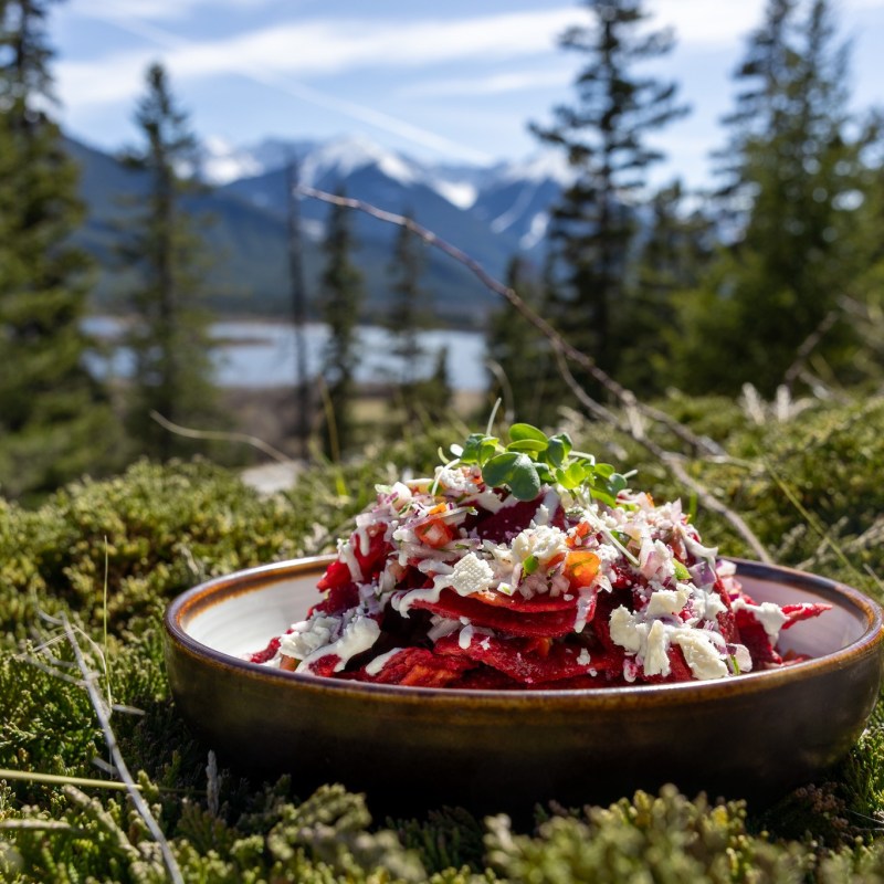 a close up of food in a forest