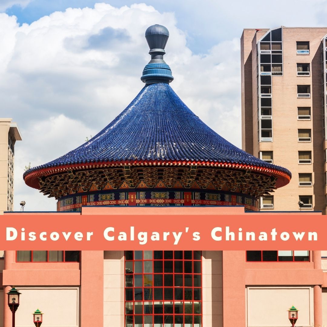Chinese pagoda with blue roof in urban setting, text: Discover Calgary's Chinatown.